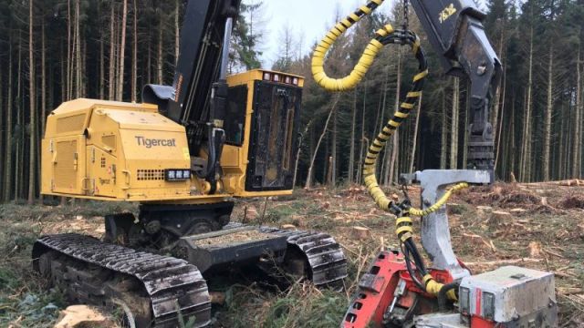 Tigercat LH845 2017 - Treetop Forestry
